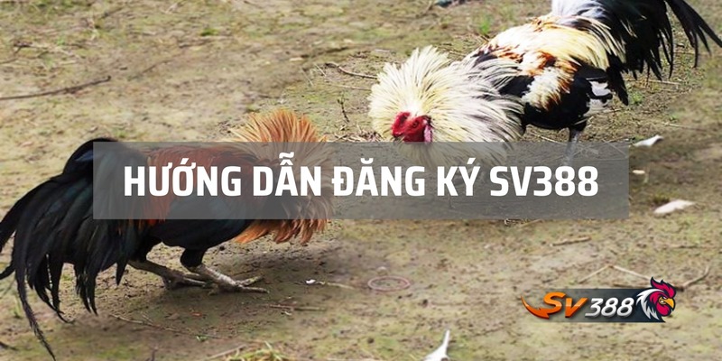 Đăng ký đá gà SV388 và nhận nhiều ưu đãi