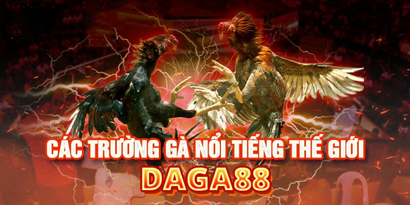 Tham gia bất cứ lúc nào bạn muốn