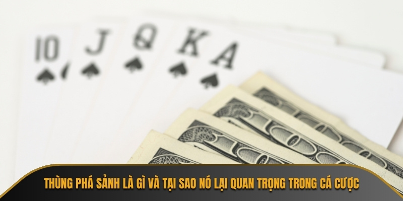 Thùng phá sảnh là gì và tại sao nó lại quan trọng trong cá cược