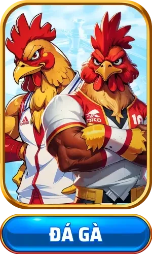 ảnh đá gà